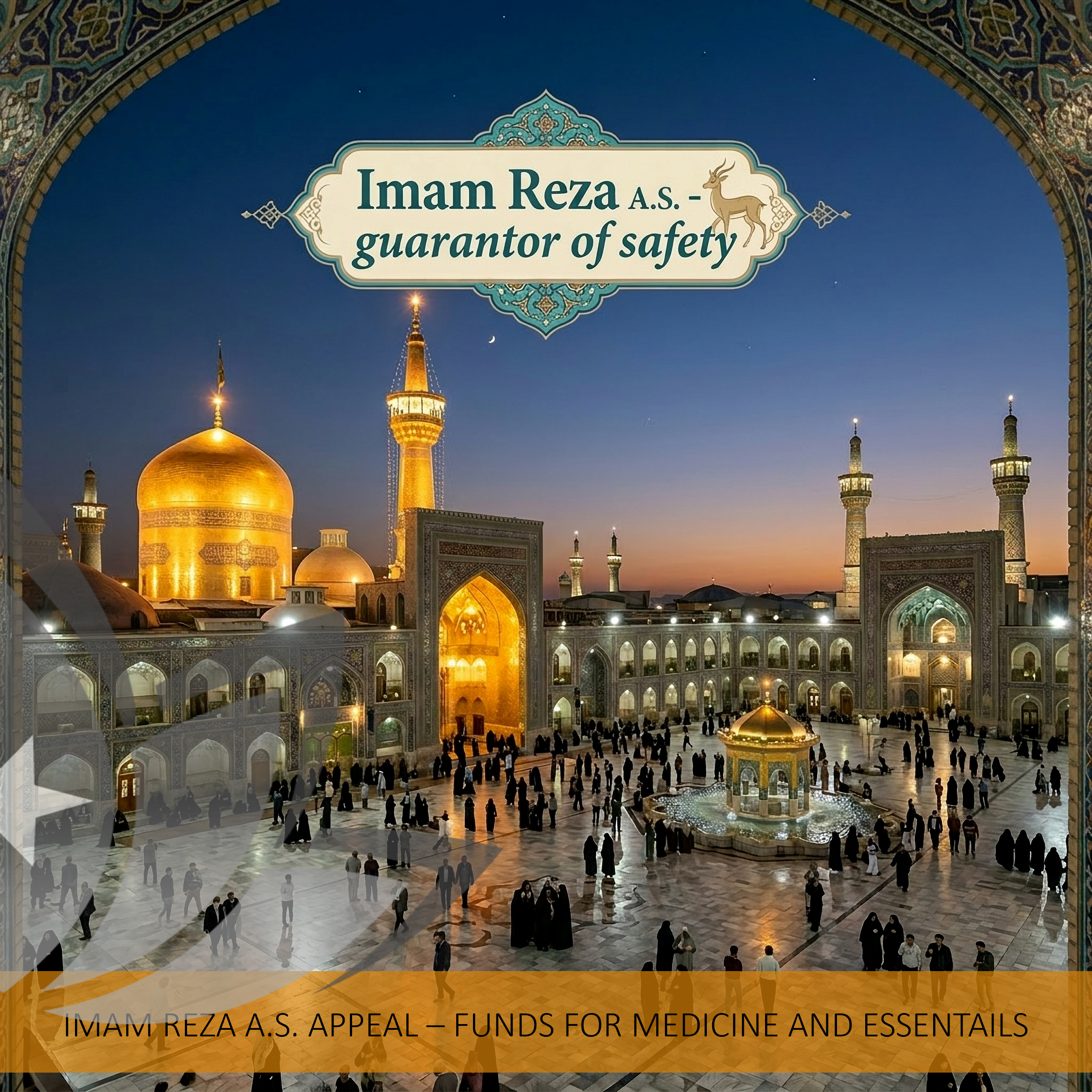Imam Reza A.S. Appeal for Medicine and Essentials